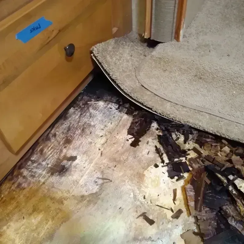 Wood Floor Water Damage in Port Orange, FL